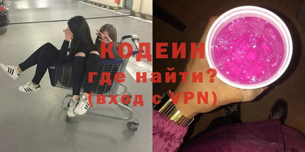 соль ск Пересвет