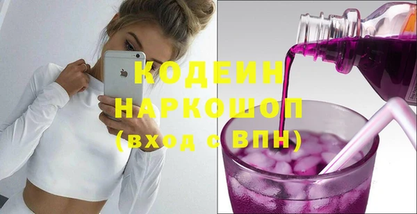 соль ск Пересвет