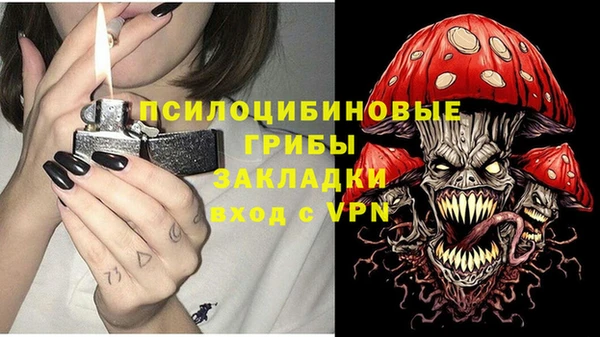 соль ск Пересвет