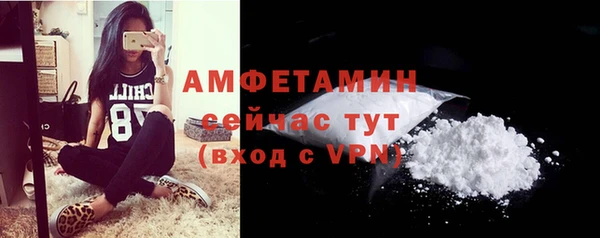 соль ск Пересвет