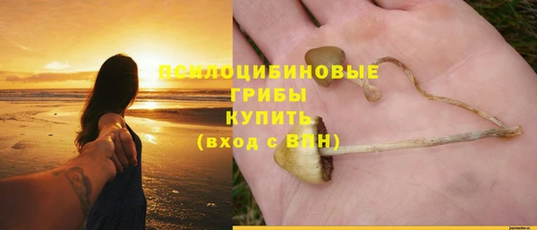 PSILOCYBIN Пестово