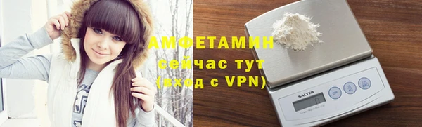 соль ск Пересвет