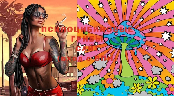 spice Переславль-Залесский