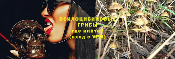 spice Переславль-Залесский
