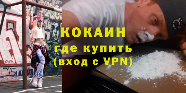 соль ск Пересвет