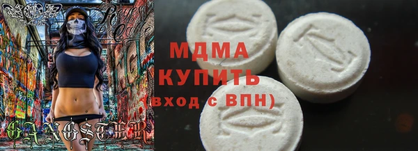 индика Осинники