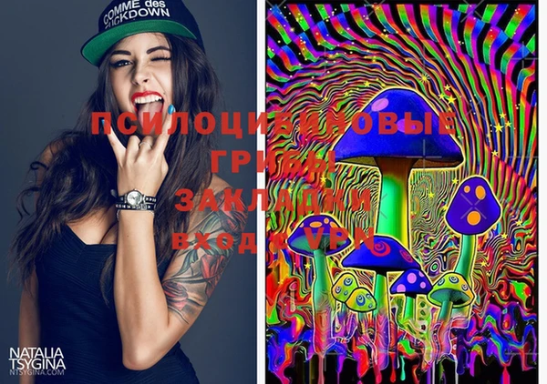 PSILOCYBIN Пестово