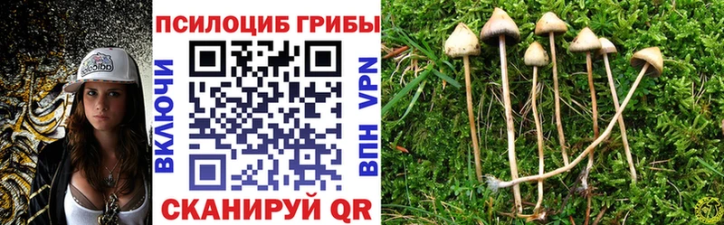 Галлюциногенные грибы прущие грибы Рошаль