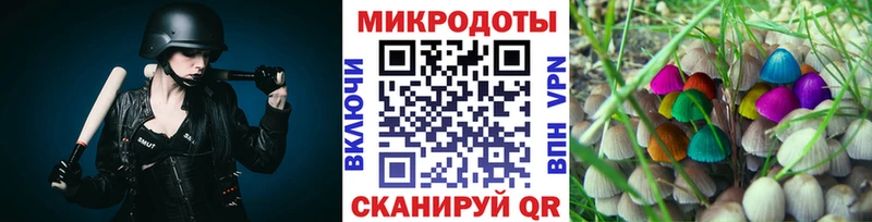Галлюциногенные грибы прущие грибы  Рошаль 