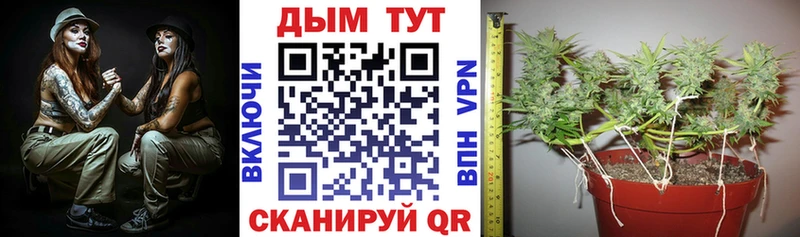 Марихуана MAZAR  kraken tor  Рошаль 